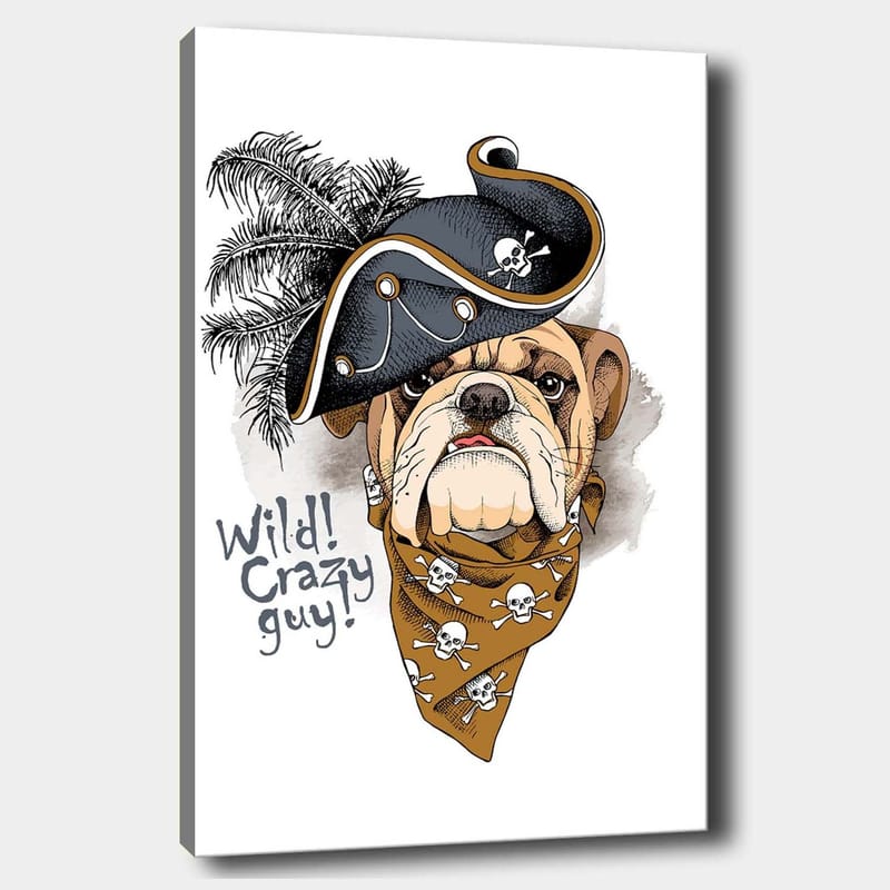 Canvastavla 70x100 cm - Bulldog klädd i pirathatt och bandana med dödskallar, Beige / Svart / Orange