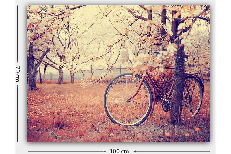 Canvastavla 70x100 cm - Cykel lutad mot ett träd i en blomstrande fruktträdgård under våren - Orange / Brun / Grå - Inredning - Tavlor & konst - Canvastavlor