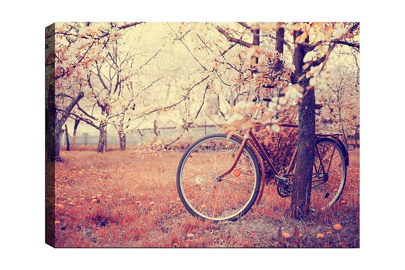 Canvastavla 70x100 cm - Cykel lutad mot ett träd i en blomstrande fruktträdgård under våren, Orange / Brun / Grå
