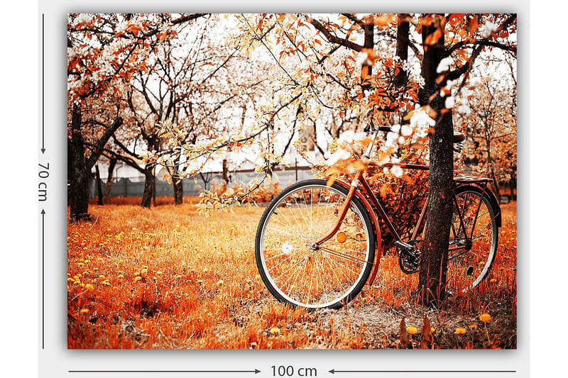 Canvastavla 70x100 cm - Cykel lutad mot ett träd i en höstig landskap med orangea och gula löv - Orange / Gul / Brun - Inredning - Tavlor & konst - Canvastavlor
