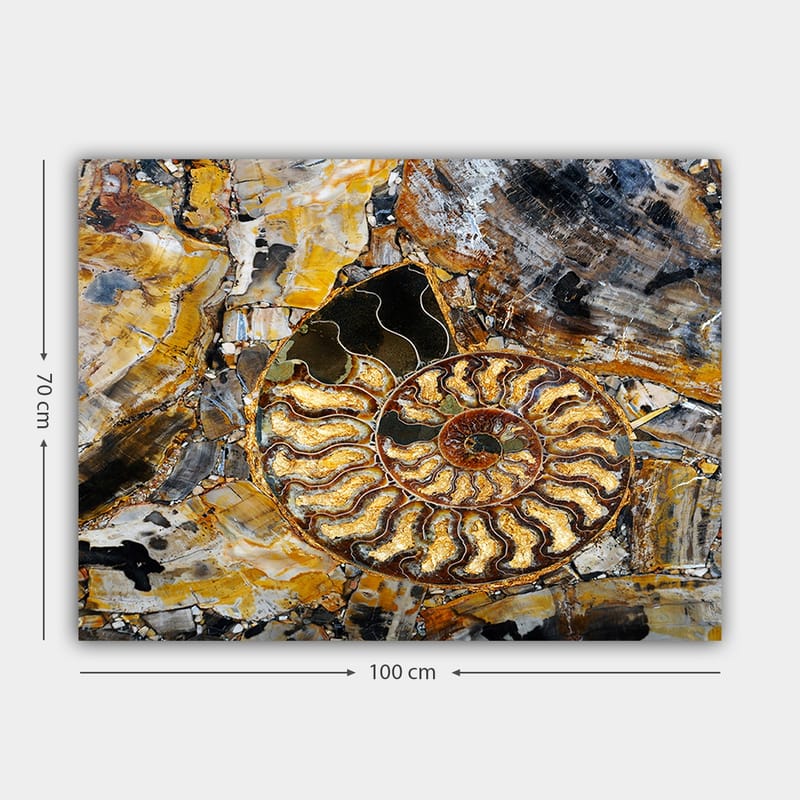 Canvastavla 70x100 cm - Detaljerad avbildning av en snäcka med en spiralformad struktur - Guld / Brunt / Svart - Inredning - Tavlor & konst - Canvastavlor