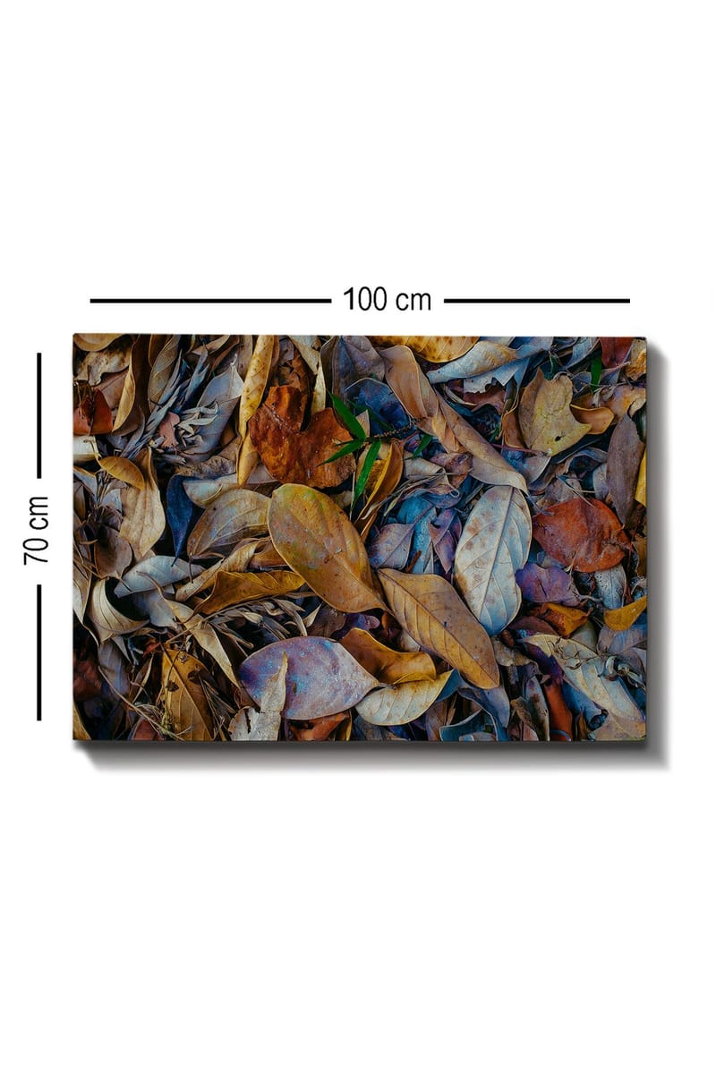 Canvastavla 70x100 cm - Detaljrik samling av torkade löv i olika nyanser som skapar en naturlig textur - Brun / Beige / Grön - Inredning - Tavlor & konst - Canvastavlor
