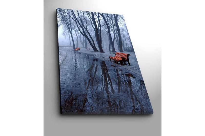 Canvastavla 70x100 cm - Dimmig park med två orange bänkar omgivna av kalla, nakna träd - Orange / Blå / Grå - Inredning - Tavlor & konst - Canvastavlor
