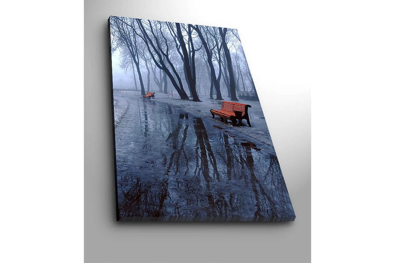 Canvastavla 70x100 cm - Dimmig park med två orange bänkar omgivna av kalla, nakna träd - Orange / Blå / Grå - Inredning - Tavlor & konst - Canvastavlor