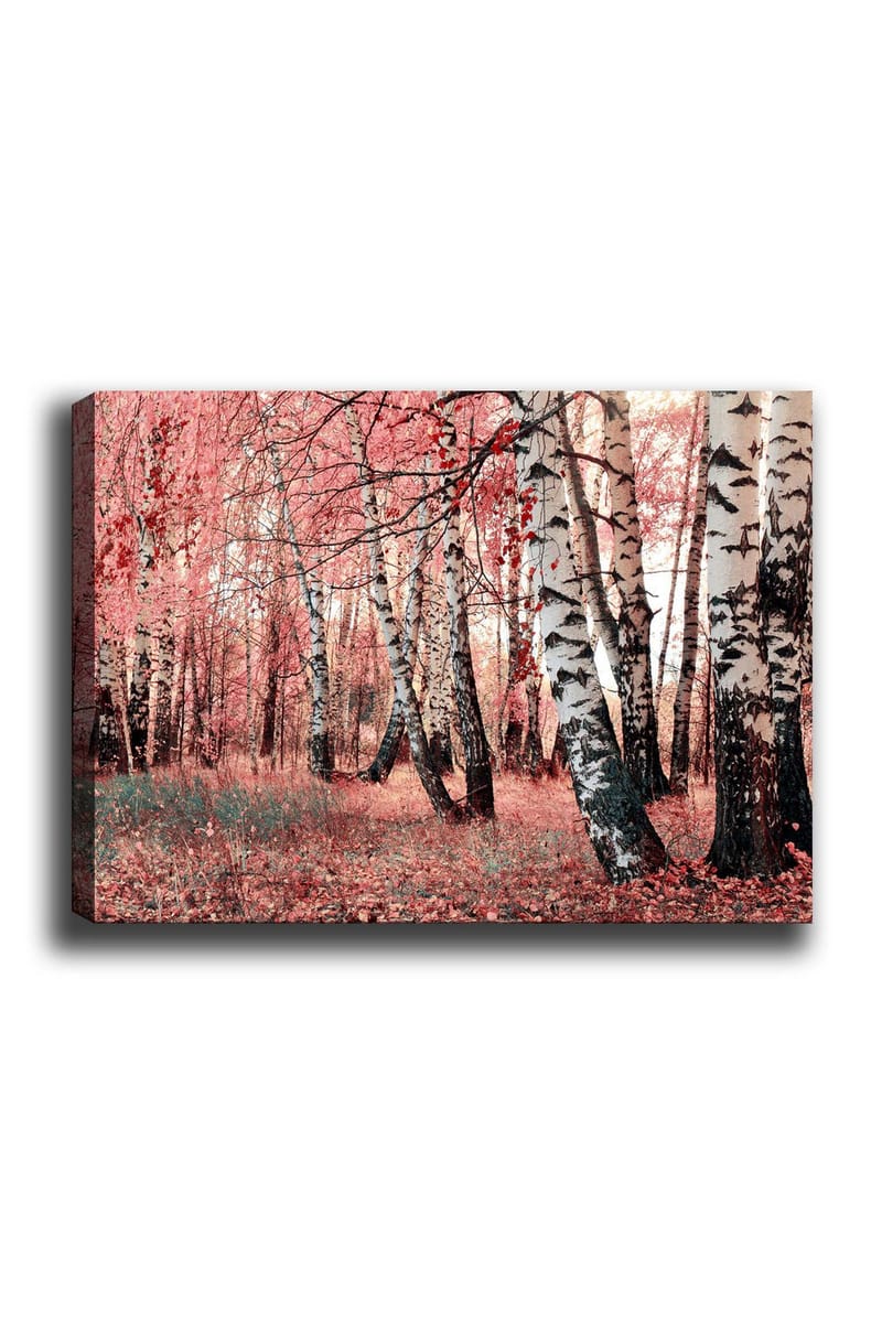 Canvastavla 70x100 cm - Drömlik skog med björkar omgivna av rosa och röda löv - Rosa / Vit / Svart - Inredning - Tavlor & konst - Canvastavlor