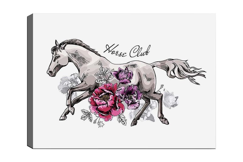 Canvastavla 70x100 cm - Elegant häst som springer fram omgiven av färgglada blommor - Grå / Rosa / Lila - Inredning - Tavlor & konst - Canvastavlor