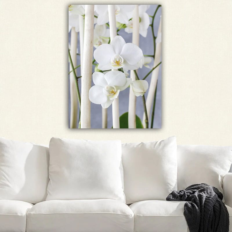 Canvastavla 70x100 cm - Elegant komposition av vita orkidéer som växer mellan ljusa stammar - Vit / Grön - Inredning - Tavlor & konst - Canvastavlor