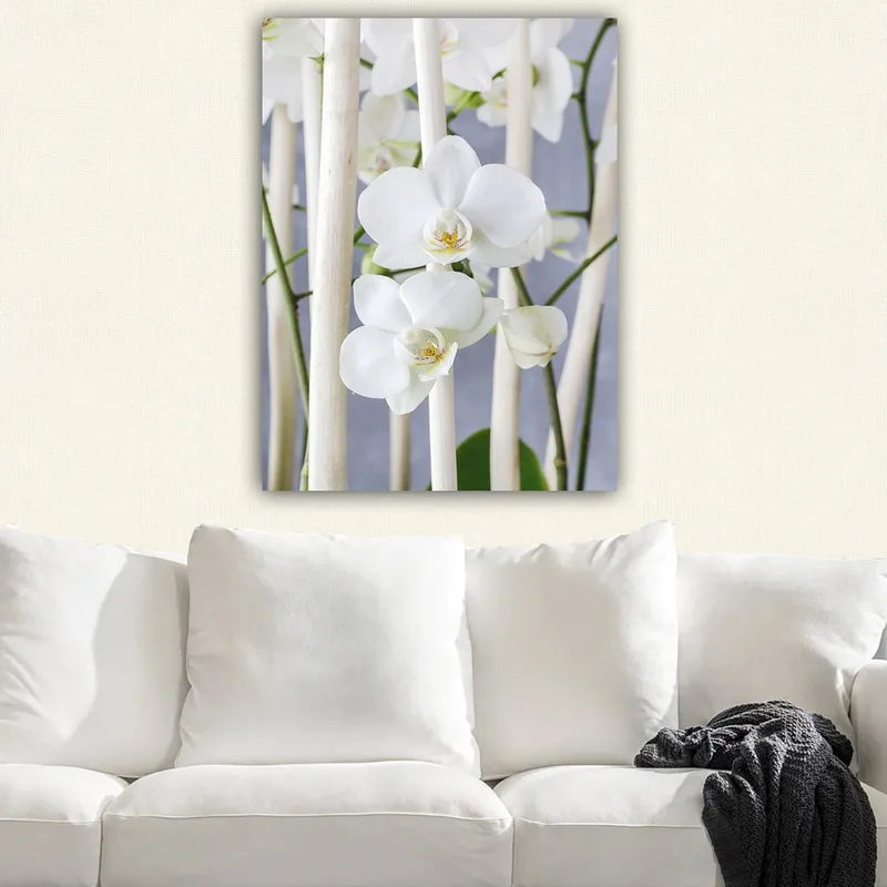Canvastavla 70x100 cm - Elegant komposition av vita orkidéer som växer mellan ljusa stammar - Vit / Grön - Inredning - Tavlor & konst - Canvastavlor