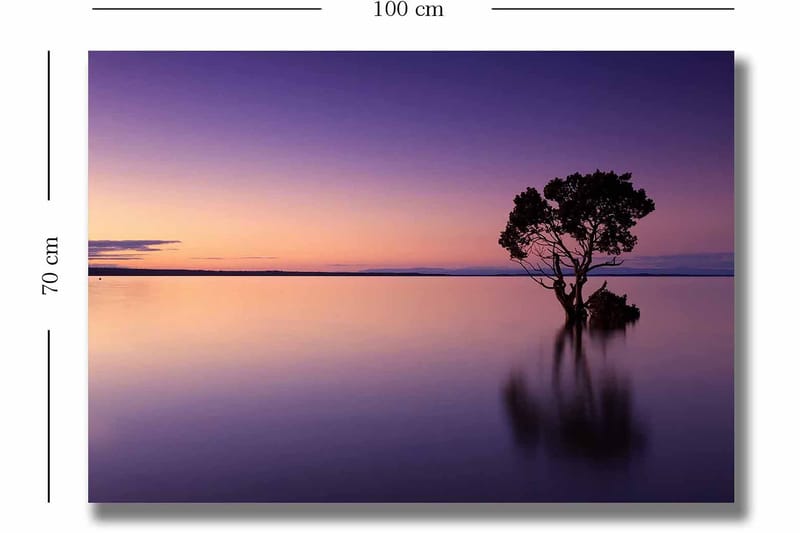 Canvastavla 70x100 cm - Ensam trädkrona speglar sig i en stilla sjö under en färgsprakande himmel vid skymning - Lila / Orange / Svart - Inredning - Tavlor & konst - Canvastavlor