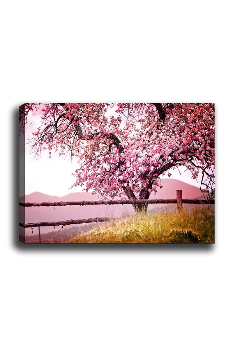 Canvastavla 70x100 cm - Ett blommande körsbärsträd i en idyllisk landskapsmiljö, Rosa / Grön / Brun
