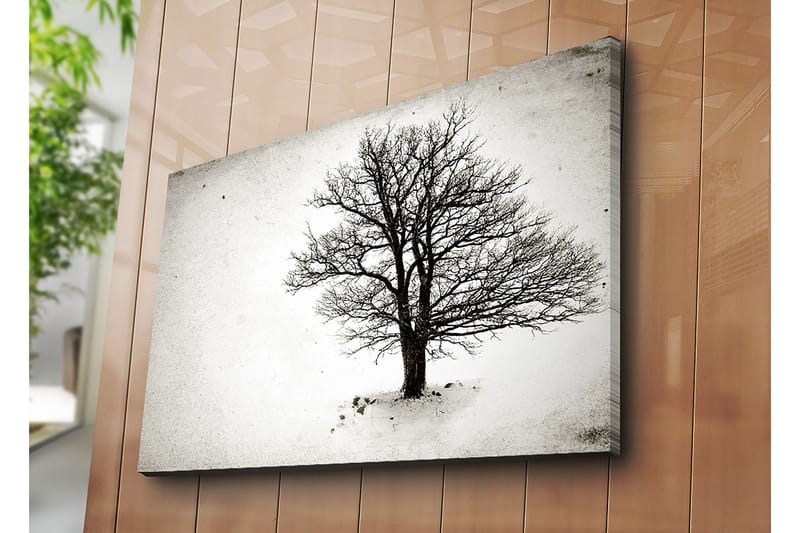 Canvastavla 70x100 cm - Ett ensamt, avlövade träd i en snöig landskapsscen - Svart / Vitt - Inredning - Tavlor & konst - Canvastavlor