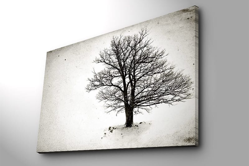 Canvastavla 70x100 cm - Ett ensamt, avlövade träd i en snöig landskapsscen - Svart / Vitt - Inredning - Tavlor & konst - Canvastavlor