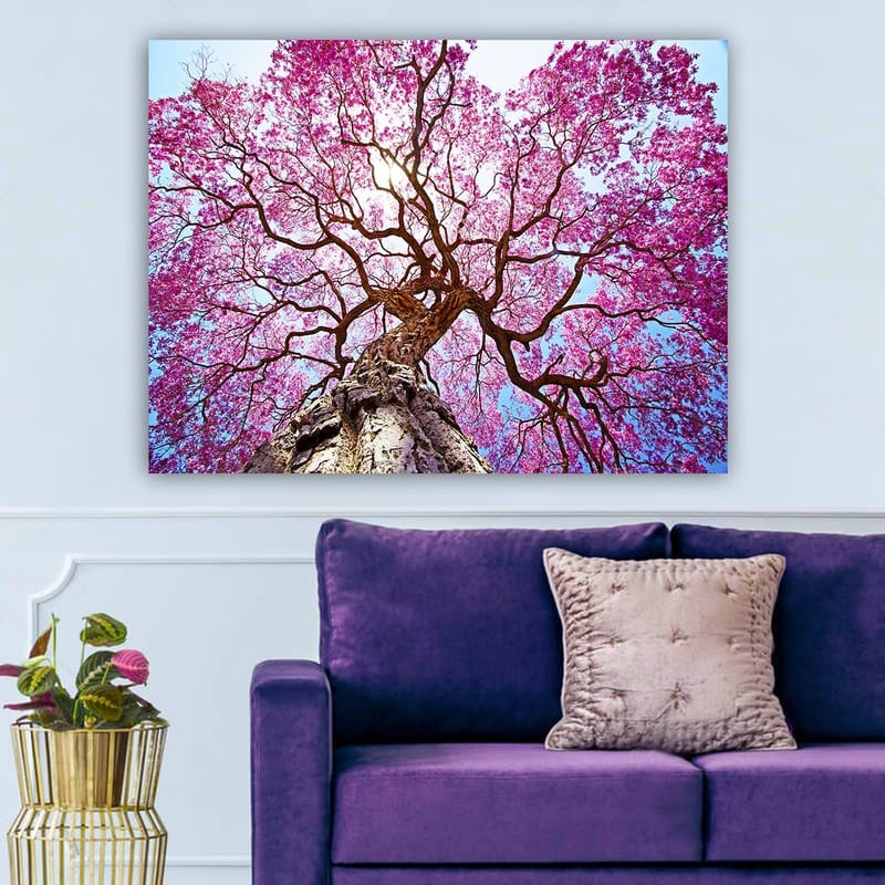 Canvastavla 70x100 cm - Ett majestätiskt körsbärsträd med blommande rosa blommor som sträcker sig mot en klar blå himmel - Rosa / Brun / Blå - Inredning - Tavlor & konst - Canvastavlor