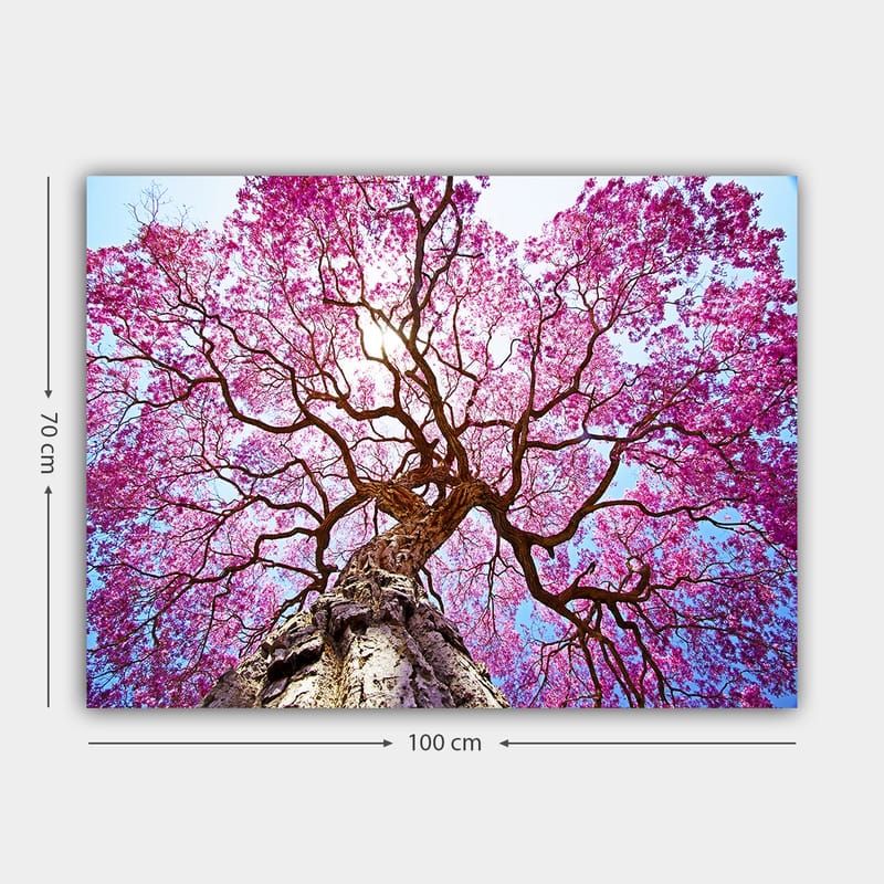 Canvastavla 70x100 cm - Ett majestätiskt körsbärsträd med blommande rosa blommor som sträcker sig mot en klar blå himmel - Rosa / Brun / Blå - Inredning - Tavlor & konst - Canvastavlor