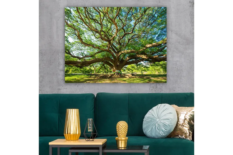 Canvastavla 70x100 cm - Ett stort och majestätiskt träd med utbredda grenar och frodig grönska - Grön / Brun - Inredning - Tavlor & konst - Canvastavlor
