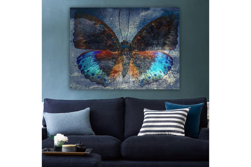 Canvastavla 70x100 cm - Färgglad fjäril med detaljerade vingar i blått och orange - Blå / Orange / Svart - Inredning - Tavlor & konst - Canvastavlor
