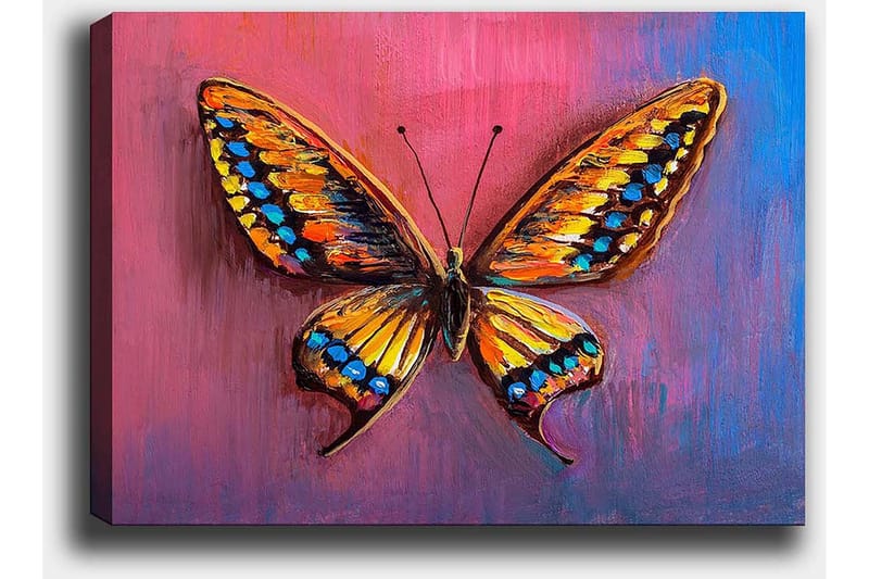 Canvastavla 70x100 cm - Färgglad fjäril med detaljerade vingar i orange och blått - Orange / Blå / Lila - Inredning - Tavlor & konst - Canvastavlor