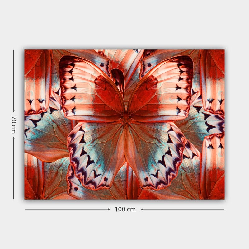 Canvastavla 70x100 cm - Färgglad fjäril med detaljerade vingar i röd och blå nyans - Röd / Blå - Inredning - Tavlor & konst - Canvastavlor