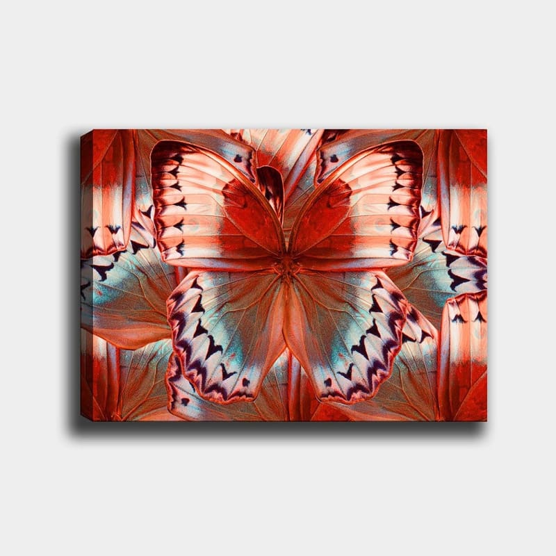 Canvastavla 70x100 cm - Färgglad fjäril med detaljerade vingar i röd och blå nyans, Röd / Blå