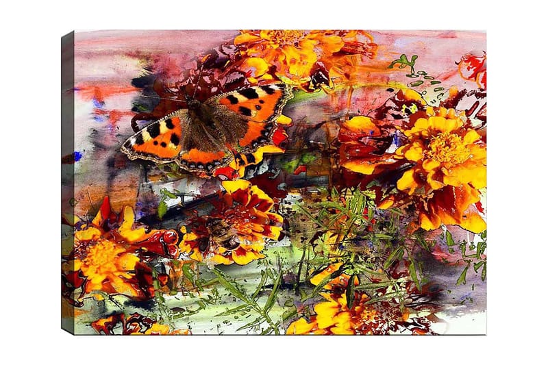 Canvastavla 70x100 cm - Färgglad fjäril som sitter på blommor i en livlig trädgård - Orange / Gult / Grönt - Inredning - Tavlor & konst - Canvastavlor