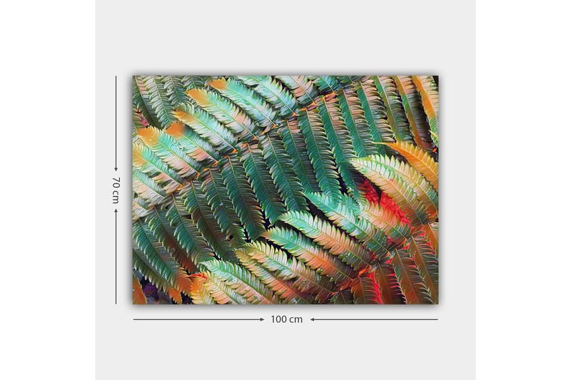 Canvastavla 70x100 cm - Färgglad komposition av ferns med varierande gröna och orange nyanser - Grön / Orange - Inredning - Tavlor & konst - Canvastavlor