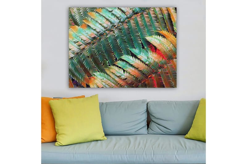 Canvastavla 70x100 cm - Färgglad komposition av ferns med varierande gröna och orange nyanser - Grön / Orange - Inredning - Tavlor & konst - Canvastavlor