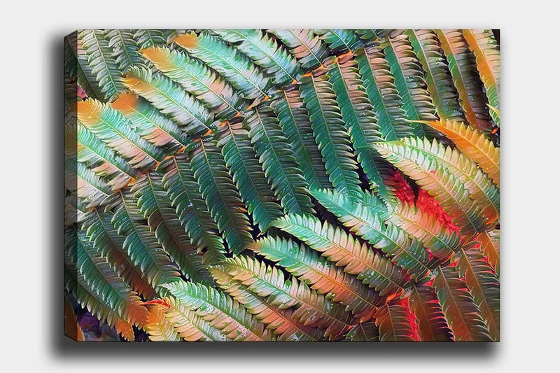 Canvastavla 70x100 cm - Färgglad komposition av ferns med varierande gröna och orange nyanser, Grön / Orange