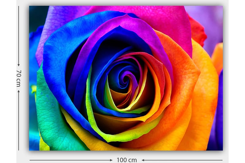 Canvastavla 70x100 cm - Färgglad ros med spiraler av regnbågens färger - Blå / Lila / Orange - Inredning - Tavlor & konst - Canvastavlor