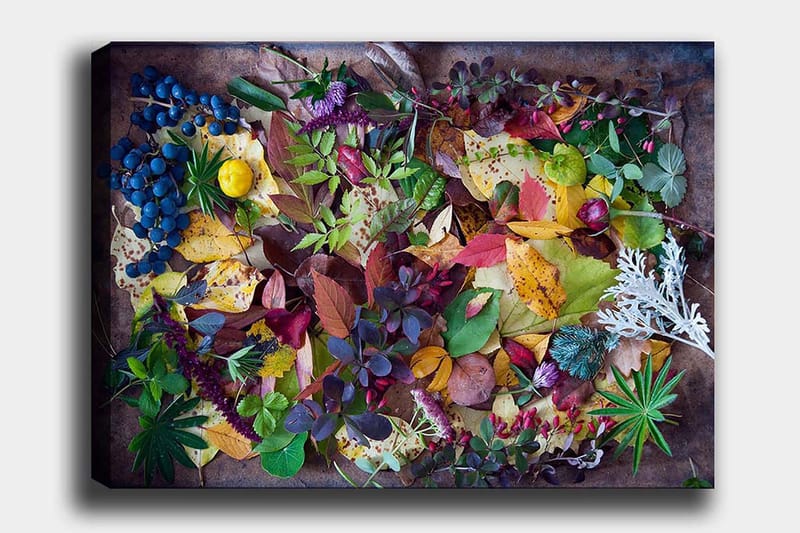 Canvastavla 70x100 cm - Färgglad samling av höstlöv och bär, Grön / Röd / Gul