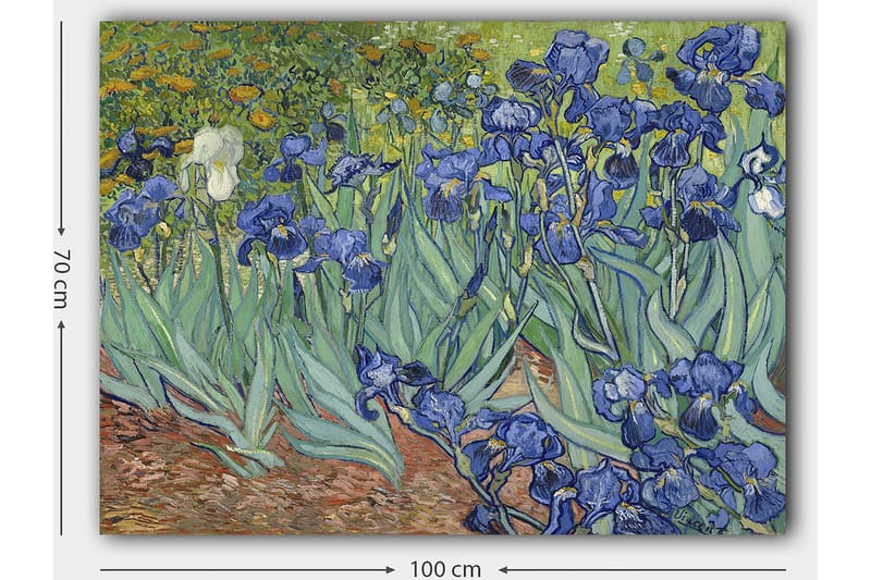 Canvastavla 70x100 cm - Färgglad samling av irisblommor i olika nyanser av blått - Blå / Grön / Vit - Inredning - Tavlor & konst - Canvastavlor