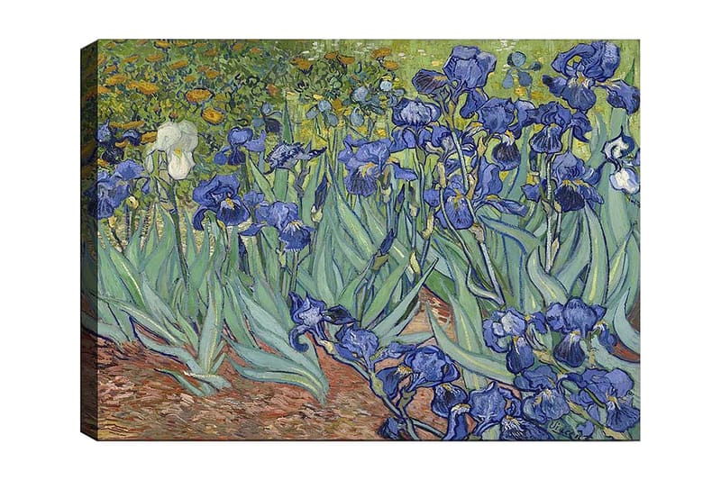 Canvastavla 70x100 cm - Färgglad samling av irisblommor i olika nyanser av blått, Blå / Grön / Vit