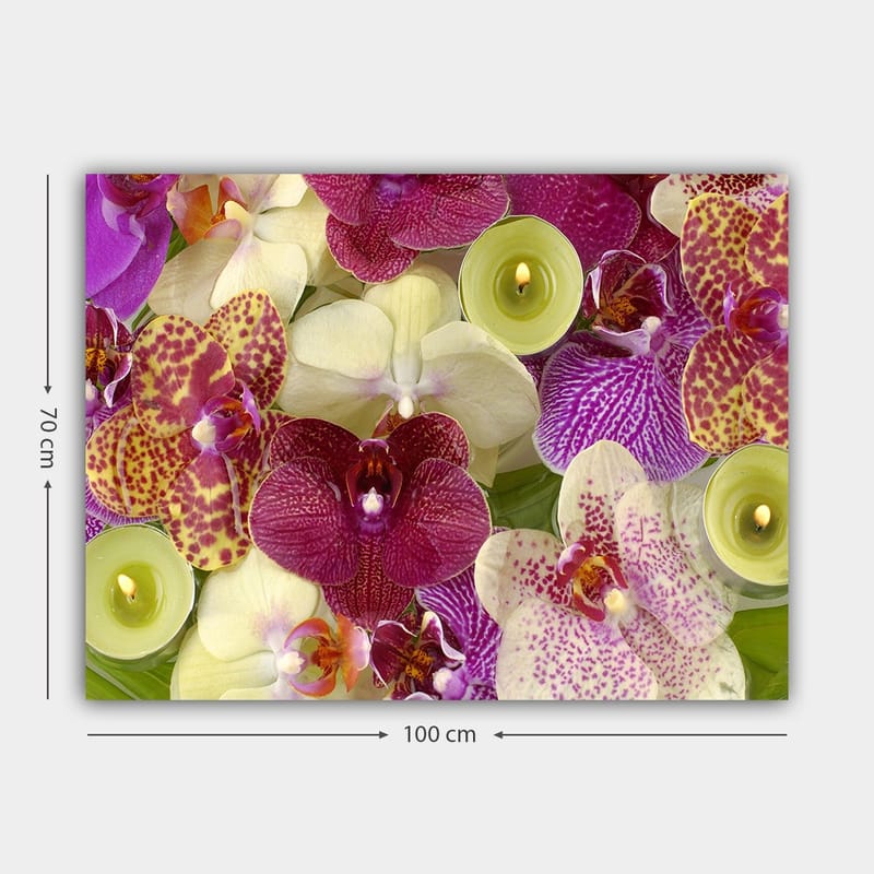 Canvastavla 70x100 cm - Färgglad samling av orkidéer i olika nyanser och former - Lila / Vit / Gul - Inredning - Tavlor & konst - Canvastavlor