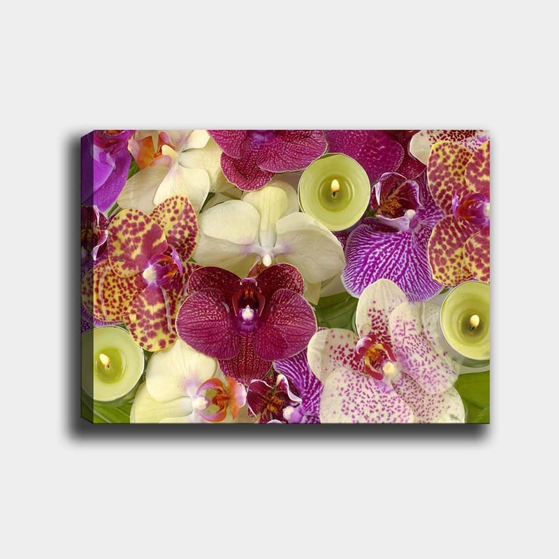 Canvastavla 70x100 cm - Färgglad samling av orkidéer i olika nyanser och former, Lila / Vit / Gul
