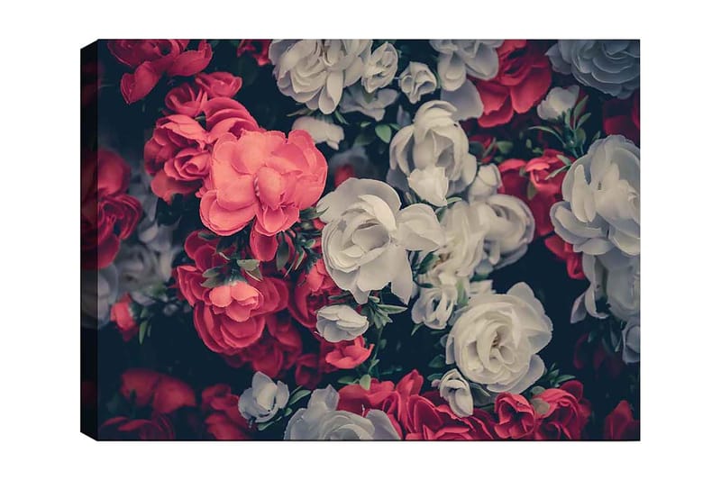 Canvastavla 70x100 cm - Färgglada blommor i röd och vit nyans - Röd / Vit - Inredning - Tavlor & konst - Canvastavlor