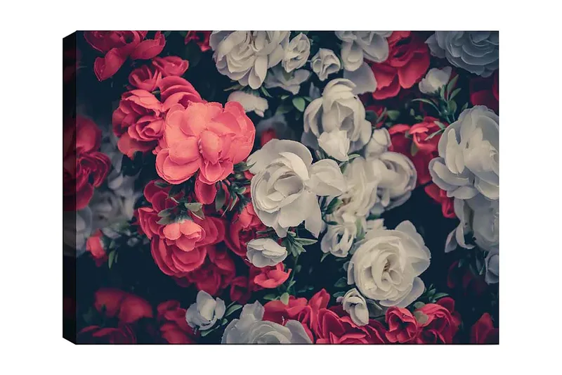 Canvastavla 70x100 cm - Färgglada blommor i röd och vit nyans - Röd / Vit - Inredning - Tavlor & konst - Canvastavlor
