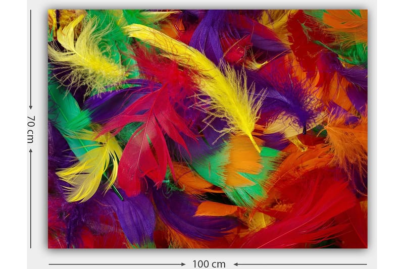 Canvastavla 70x100 cm - Färgglada fjädrar i en livlig sammansättning - Röd / Gul / Grön - Inredning - Tavlor & konst - Canvastavlor