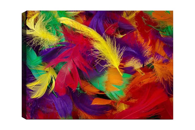 Canvastavla 70x100 cm - Färgglada fjädrar i en livlig sammansättning - Röd / Gul / Grön - Inredning - Tavlor & konst - Canvastavlor