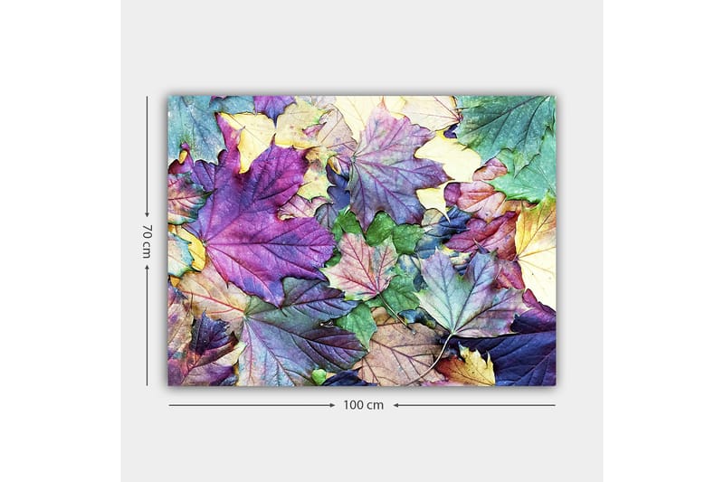 Canvastavla 70x100 cm - Färgglada höstlöv i en harmonisk komposition - Lila / Grön / Gul - Inredning - Tavlor & konst - Canvastavlor