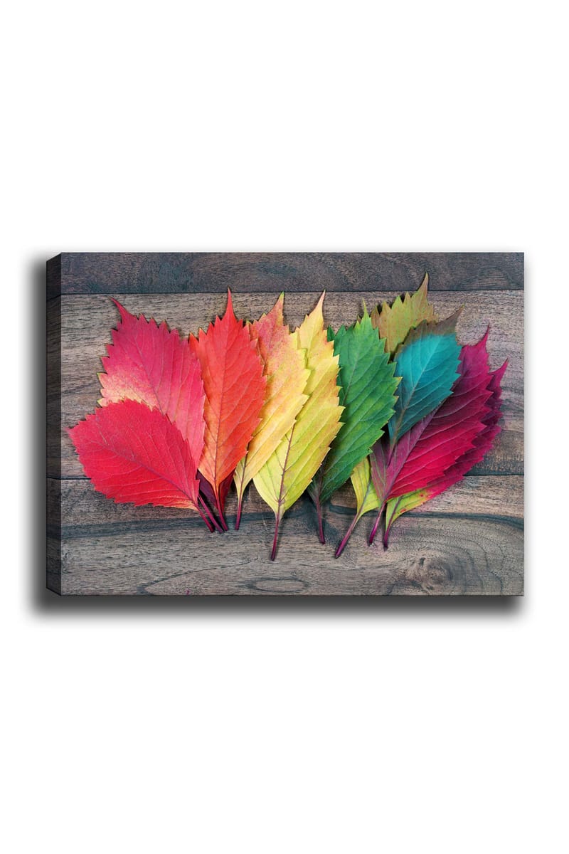 Canvastavla 70x100 cm - Färgglada höstlöv i olika nyanser som ligger på en träyta - Röd / Grön / Gul - Inredning - Tavlor & konst - Canvastavlor
