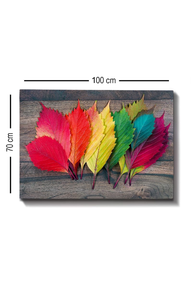 Canvastavla 70x100 cm - Färgglada höstlöv i olika nyanser som ligger på en träyta - Röd / Grön / Gul - Inredning - Tavlor & konst - Canvastavlor