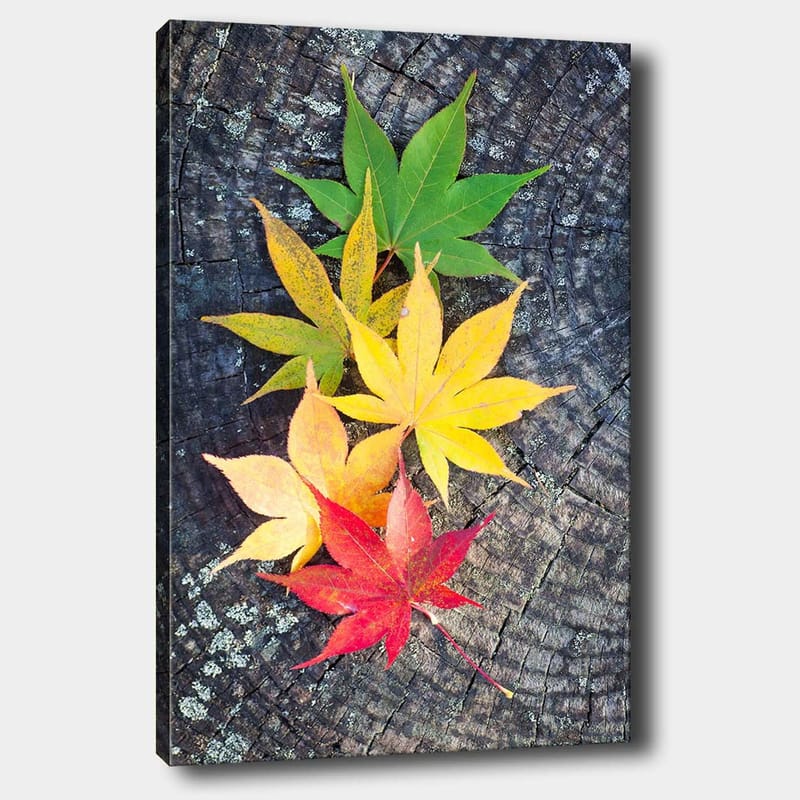 Canvastavla 70x100 cm - Färgglada höstlöv i olika nyanser på en träyta - Grön / Gul / Röd - Inredning - Tavlor & konst - Canvastavlor
