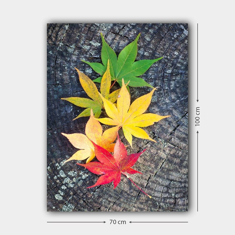 Canvastavla 70x100 cm - Färgglada höstlöv i olika nyanser på en träyta - Grön / Gul / Röd - Inredning - Tavlor & konst - Canvastavlor
