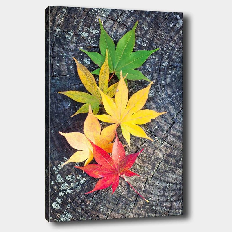 Canvastavla 70x100 cm - Färgglada höstlöv i olika nyanser på en träyta - Grön / Gul / Röd - Inredning - Tavlor & konst - Canvastavlor