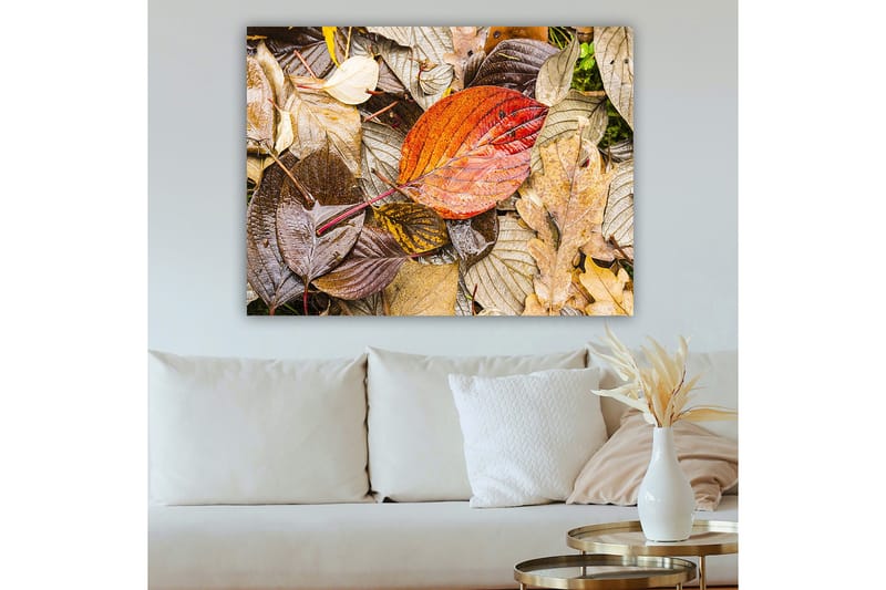 Canvastavla 70x100 cm - Färgglada höstlöv på en fuktig markyta - Röd / Brun / Gul - Inredning - Tavlor & konst - Canvastavlor