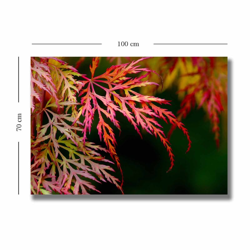 Canvastavla 70x100 cm - Färgglada lönnlöv i olika nyanser av rött och rosa - Röd / Rosa / Grön - Inredning - Tavlor & konst - Canvastavlor