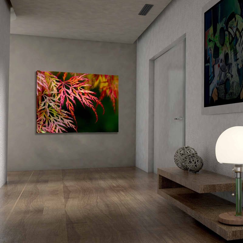 Canvastavla 70x100 cm - Färgglada lönnlöv i olika nyanser av rött och rosa - Röd / Rosa / Grön - Inredning - Tavlor & konst - Canvastavlor