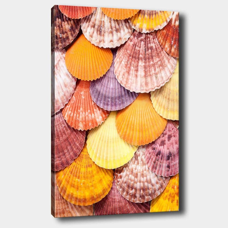 Canvastavla 70x100 cm - Färgglada snäckskal i ett vackert mönster - Orange / Lila / Rosa - Inredning - Tavlor & konst - Canvastavlor