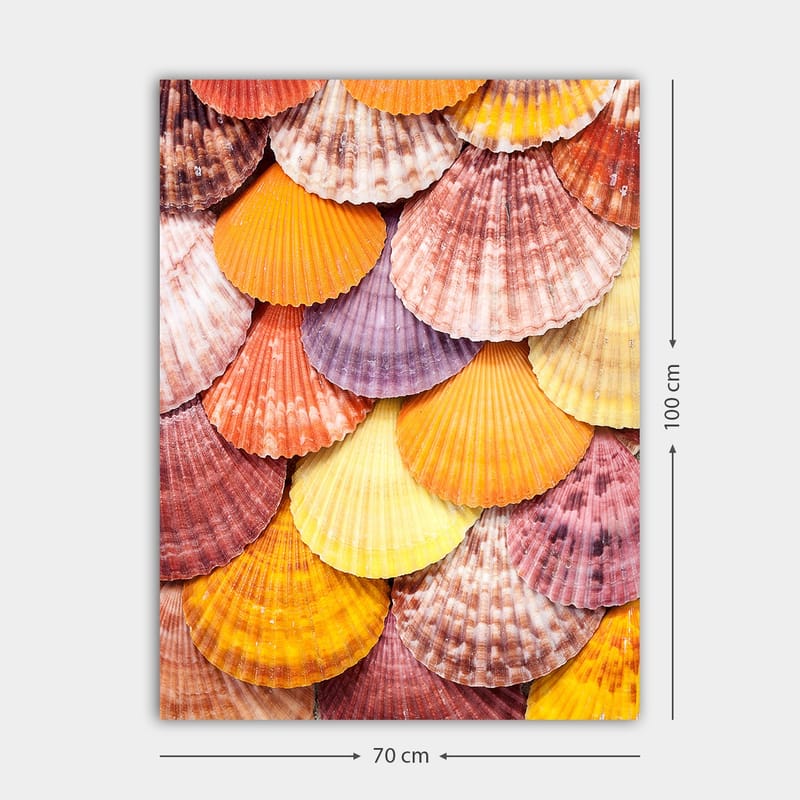 Canvastavla 70x100 cm - Färgglada snäckskal i ett vackert mönster - Orange / Lila / Rosa - Inredning - Tavlor & konst - Canvastavlor