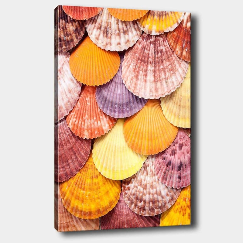 Canvastavla 70x100 cm - Färgglada snäckskal i ett vackert mönster - Orange / Lila / Rosa - Inredning - Tavlor & konst - Canvastavlor