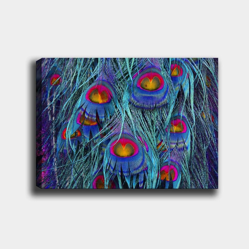 Canvastavla 70x100 cm - Färgglada påfågelfjädrar med en hypnotiserande mönstring, Turkos / Lila / Röd